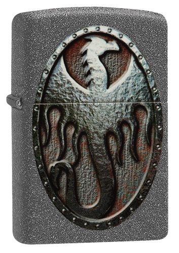 Metal Dragon Shield Design