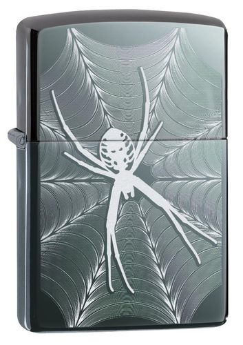 Zippo Spider & Web Design