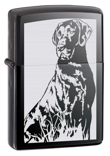 Zippo Labrador Black Ice