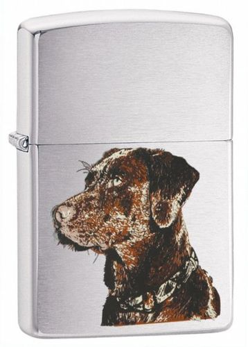 Zippo Chocolate Lab