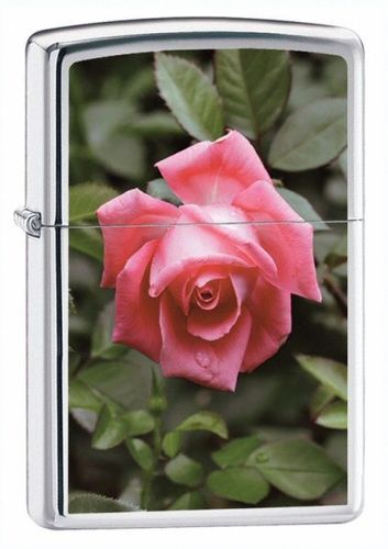 Zippo Rose High